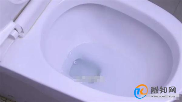 马桶里放一个塑料瓶，半年都不用刷马桶，真是太实用了
