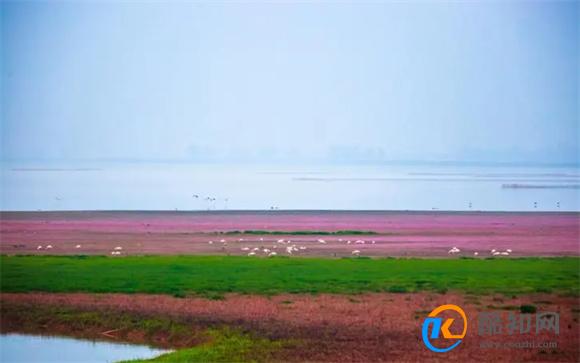 潘阳湖在哪 鄱阳湖是什么时候形成的