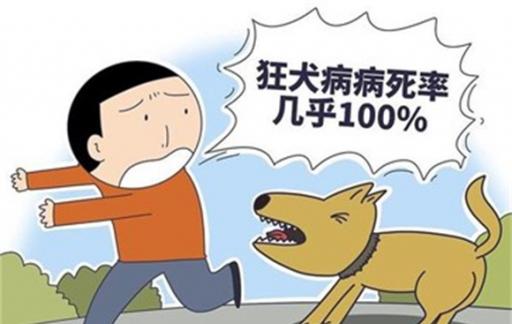 狂犬病潜伏期十几年 专家辟谣 没有科学依据