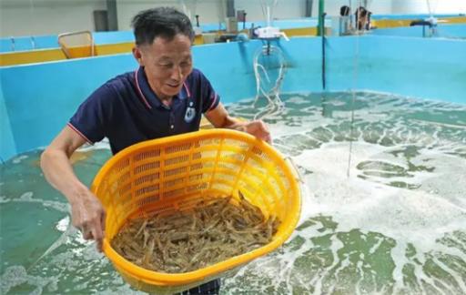 内陆没有“海” 如何养“海鲜” 海鲜陆养