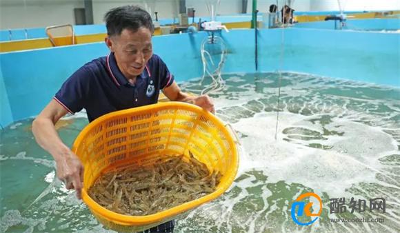 内陆没有“海” 如何养“海鲜” 海鲜陆养