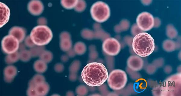 发物是癌细胞“加速剂”？提醒：真正加速细胞癌变的是这4种食物