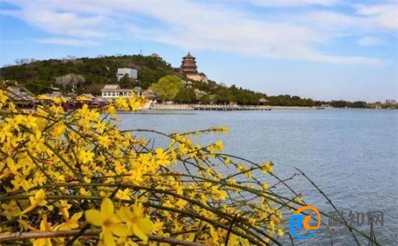 熟悉的地方没有风景，虚拟的世界邂逅爱情