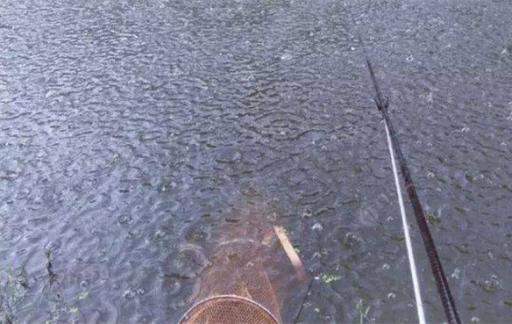 下雨天钓鱼要注意什么 雨天作钓注意的原则