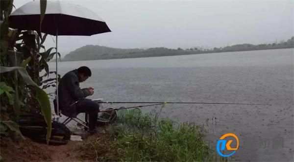 下雨天钓鱼要注意什么 雨天作钓注意的原则