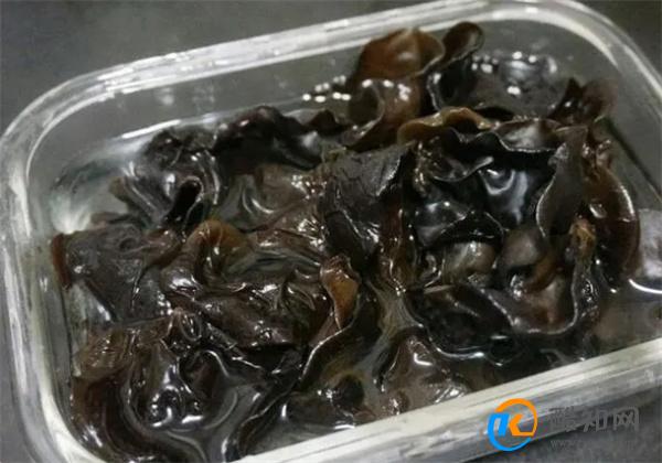木耳不要只用水泡了，学会这个诀窍，一分钟泡发木耳又大又软