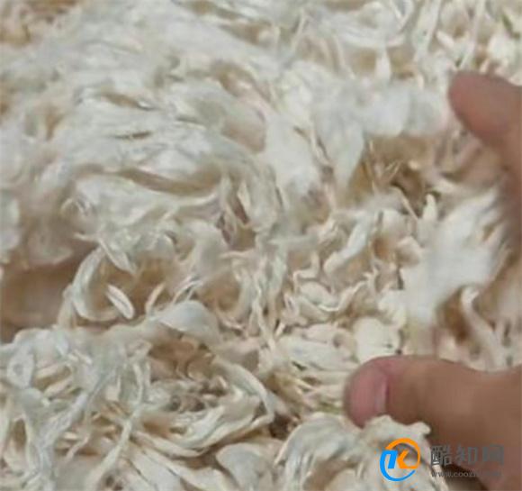 蚕丝被怎么洗 蚕丝被的清洗方法有哪些
