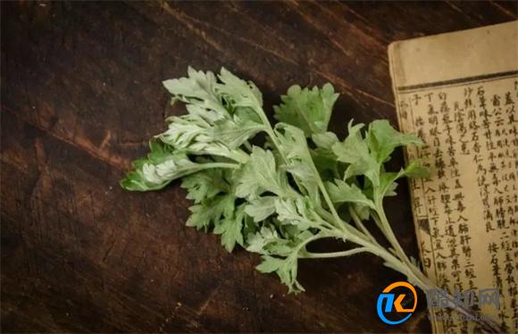 艾草熏房间有什么作用 艾草熏房间的好处