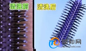 洗梳子不要直接用水泡，加上一步，不损伤梳子又干净