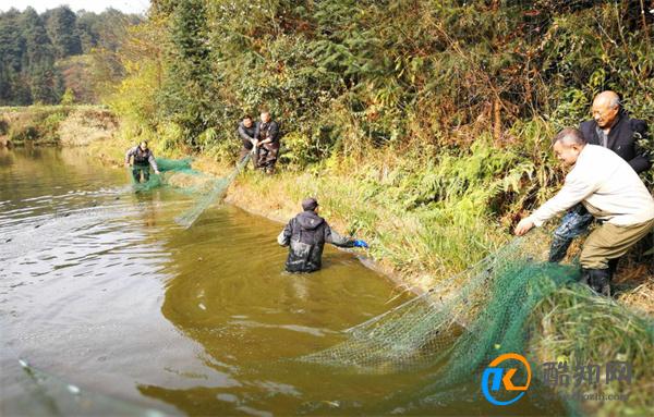 什么桥下没有水 什么河里没有鱼