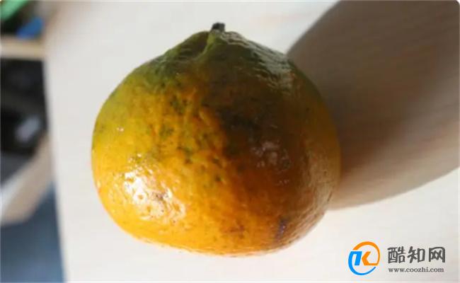 挑选橘子有窍门 只需记住3点 保证每次买到香甜多汁的橘子
