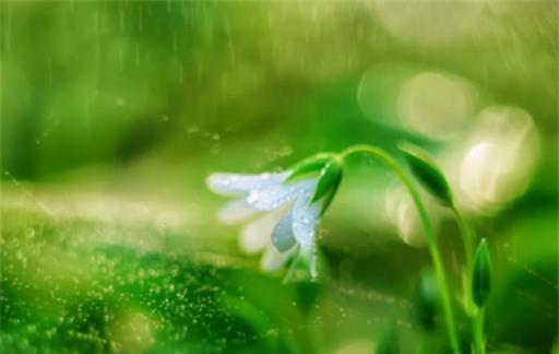 雨水是酸性还是碱性 雨水对皮肤有伤害吗