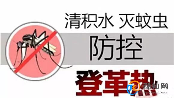 我国部分省份现登革热散发病例 专家提示防蚊虫孳生 如何预防