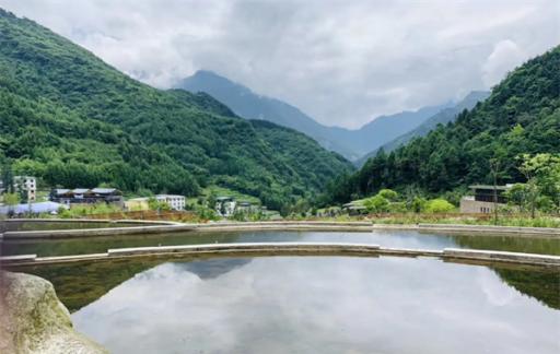 四川卧龙是什么地方 四川卧龙有哪些景点