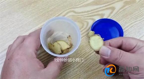 睡觉前在枕头边放一块生姜，作用真棒，解决了很多人的大烦恼