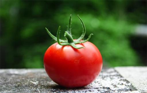 血管变年轻？英科学家发现“活血”物质，藏在水溶性番茄浓缩物中