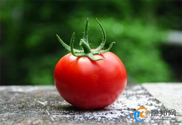 血管变年轻？英科学家发现“活血”物质，藏在水溶性番茄浓缩物中