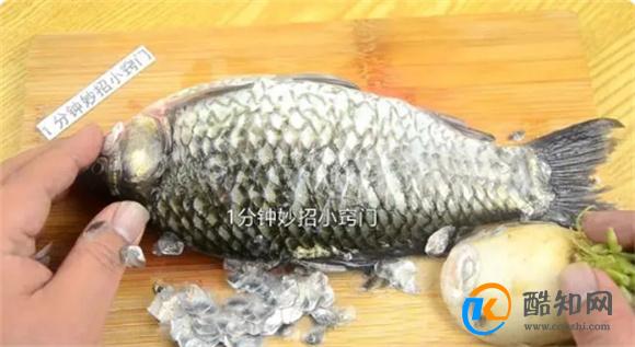 刮鱼鳞原来这么简单 一个“塑料袋”鱼鳞不飞溅 刮的又快又干净