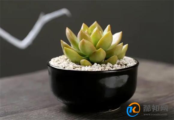 洗发水除了洗头还有这几种妙用？看万恍然大悟