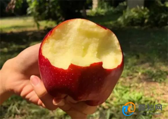每天吃一个苹果 对血脂有什么影响 看看医生怎么说