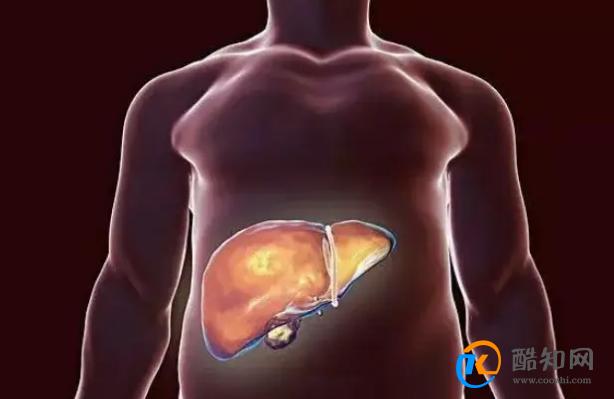 肝癌一发现即晚期？提醒：身体若有7大异常，或是肝部已经受损