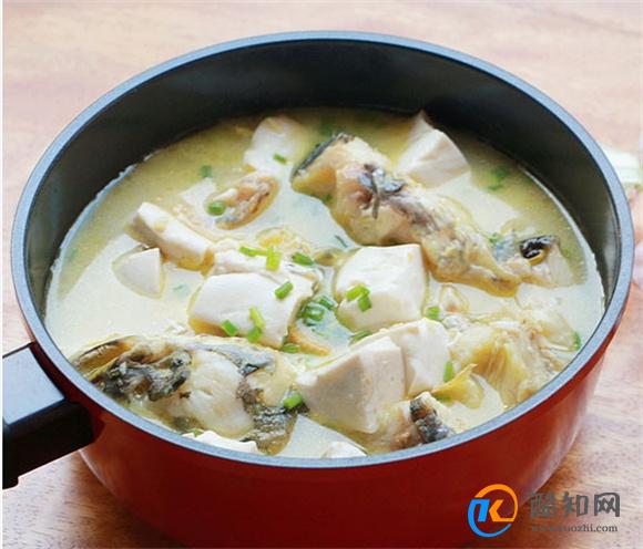 鲶鱼豆腐怎么做好吃又简单
