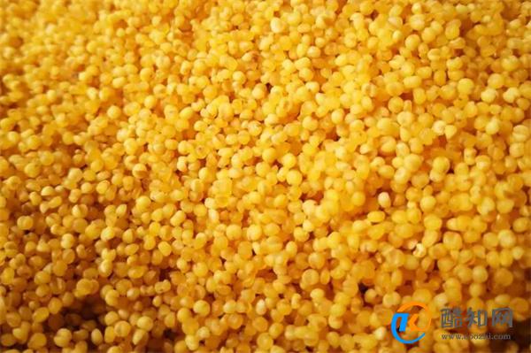 糜子米是什么米 糜子米和小米有什么区别