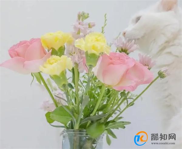 女人给你发出这些“信号”，她是在提醒你：关系可以再进一步了
