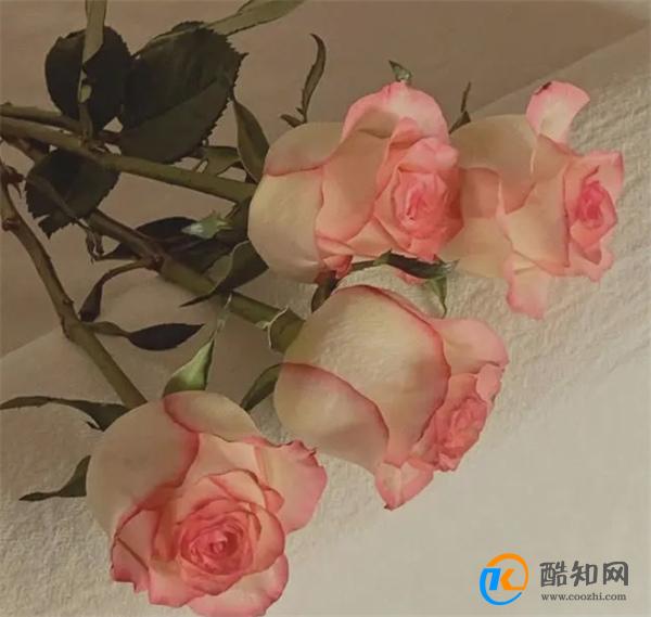 男人如此“接近”你，他不只是生理上，想和你好好在一起
