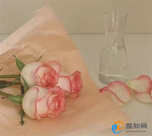 原来，撩动男人心的，是女人的“这些体面”