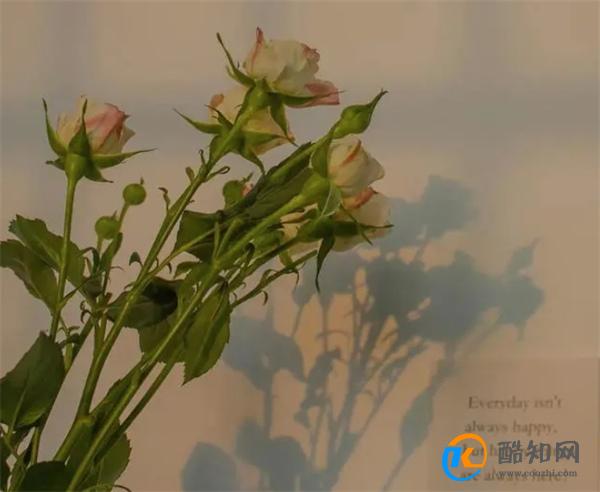 微信上的这些“痕迹”，说明你们之间，已经是“灵魂伴侣”