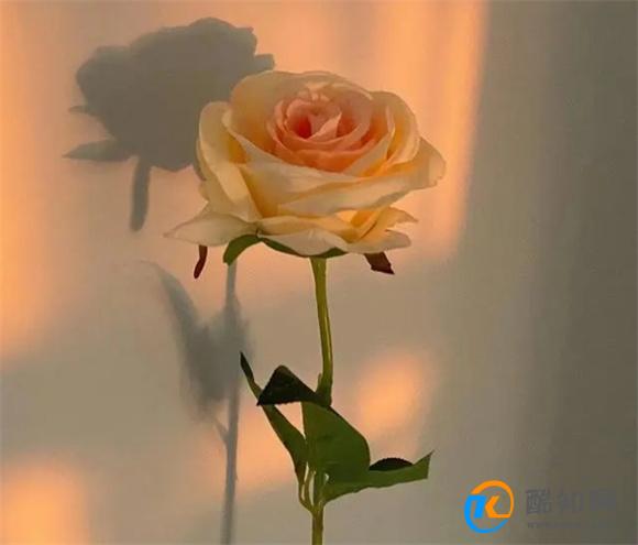 男人心里深爱着你，他会为你做“这件事”，很真心