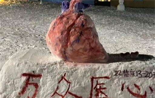 医学生们堆器官造型的雪人 医学生冬天推心脏大脑等雪人