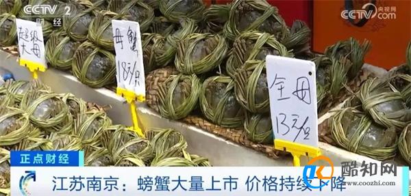 大闸蟹如今跌出“白菜价” 大闸蟹的价格下跌