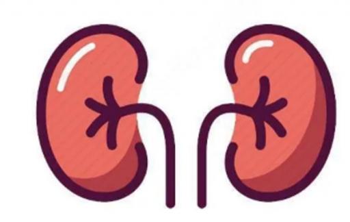 肾透支的的信号 不妨自查 看看你有没有 若你也有 或该节制了