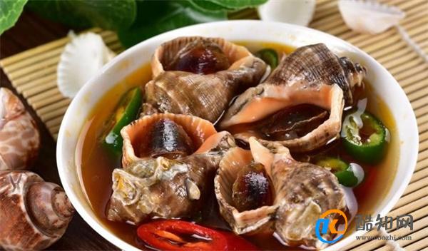 海螺怎么吃 海螺的功效及价值