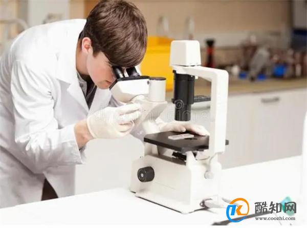显微镜的使用方法 显微镜的使用方法及注意事项 