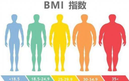 根据研究表明BMI越高患癌风险越高