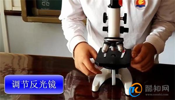 显微镜的使用方法 显微镜的使用方法及注意事项 