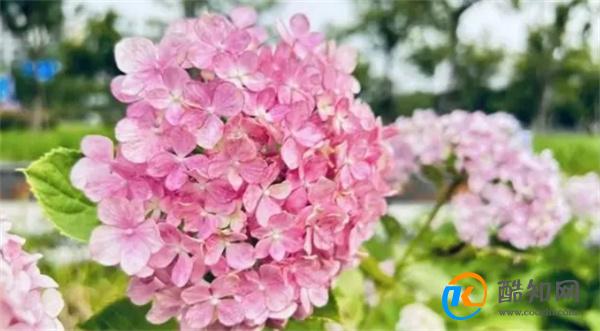 一个人看不起你，还和你来往，背后原因很简单