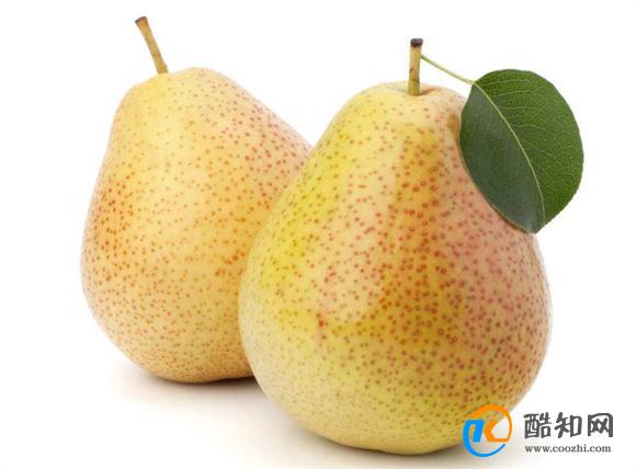 冬天肺干肺燥吃什么 吃什么润肺养肺最快