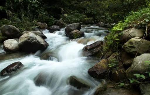 高山流水的意思 高山流水与爱情的关系