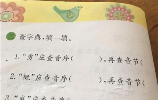 音序和音节有什么区别 音序和音节是什么意思