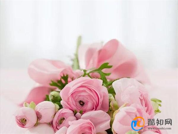 男人提出了这几个要求 要是女人没有拒绝 那多半是默认暧昧关系