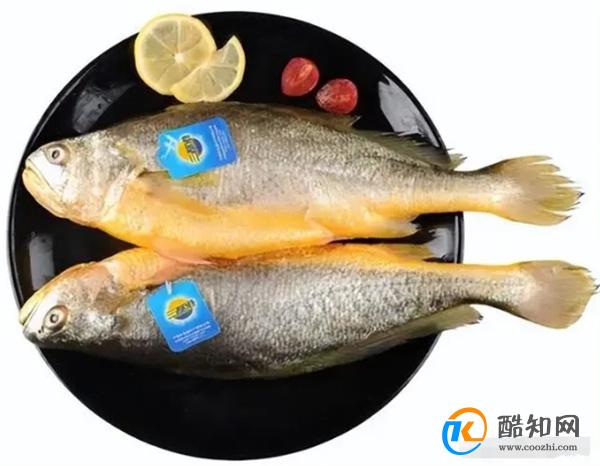 “冬吃鱼”，懂行的人会买这四种鱼，蛋白质丰富，冬天吃最肥美