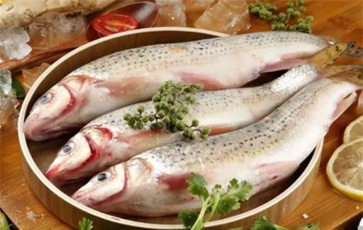 “冬吃鱼”，懂行的人会买这四种鱼，蛋白质丰富，冬天吃最肥美