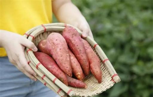 癌细胞或“讨厌”9种碱性食物 别舍不得吃 碱性食物都有哪些