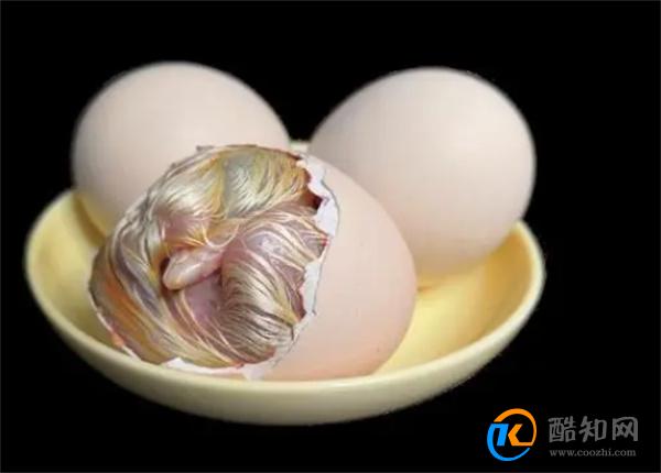毛鸡蛋是什么 毛鸡蛋和活珠子的区别