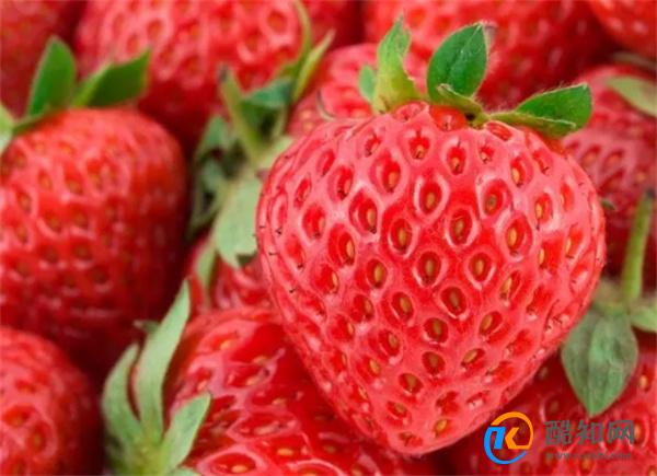 春天买草莓，内行人看见这5种转头就走，很多人都爱买，建议了解