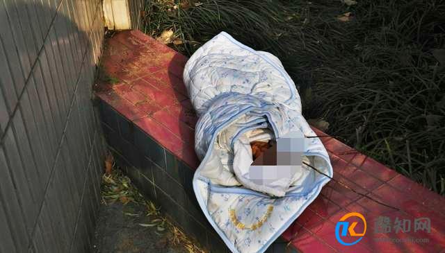 河南一被弃养男婴遭姥姥拒收 为什么会被弃养